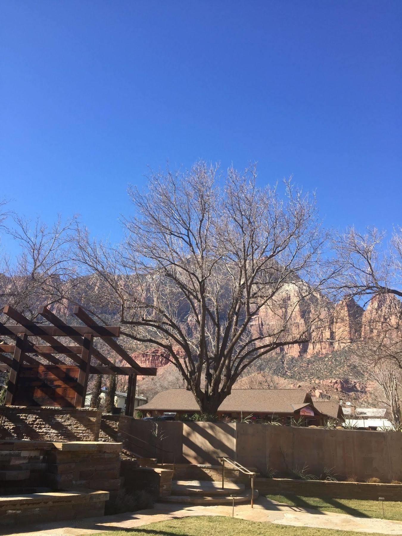 Desert Pearl Inn Springdale Εξωτερικό φωτογραφία
